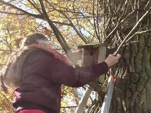 Les élèves du club Eco-école s’occupent des nichoirs du jardin.