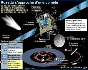 Dans cette rubrique, vous pourrez découvrir les nouveautés liées au SVT au collège mais aussi l’actualité scientifique.