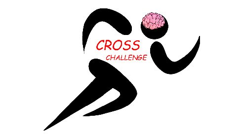 Bilan du cross challenge.